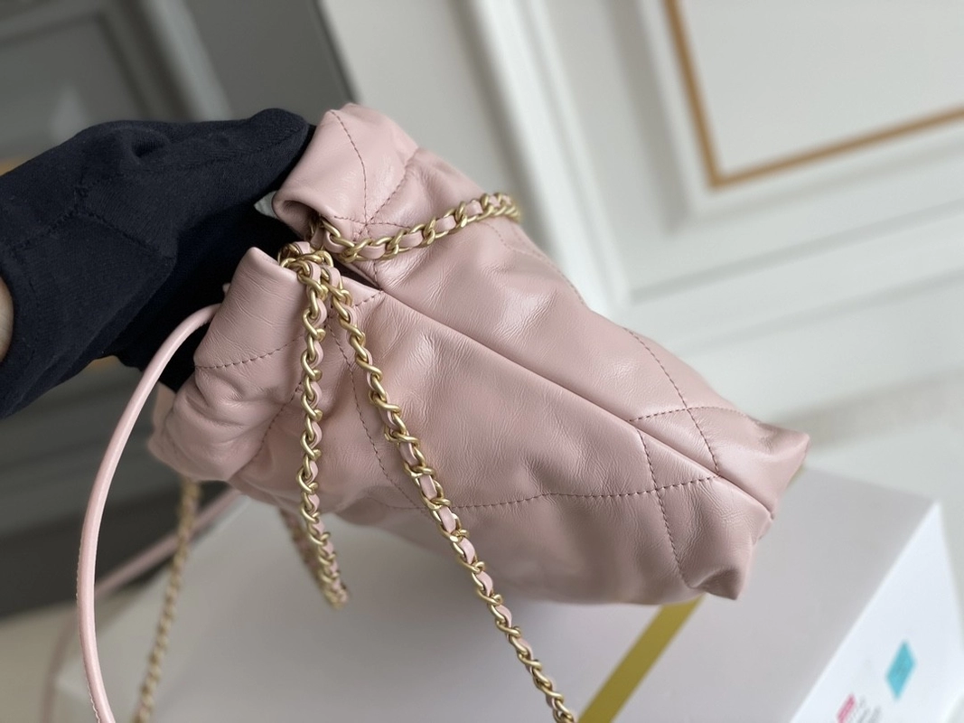 Chanel Branded Ladies Handbag 22B MINI 22S Calfskin - Luxury Bags - 14